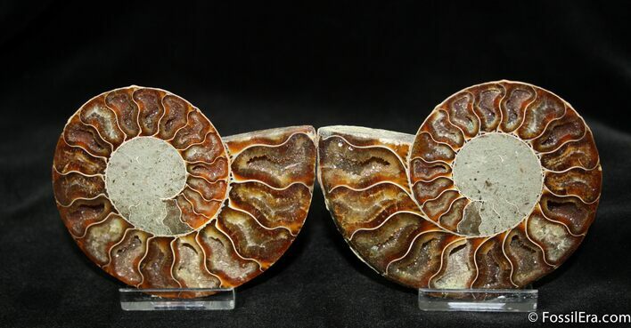 Inch Polished Pair From Madagascar #1065